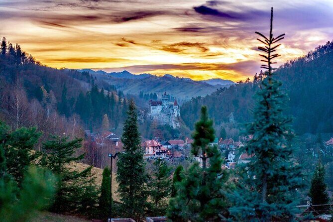 Legends&Wildlife Awaits: Dracula's Castle & Bear Sanctuary - Libearty Bear Sanctuary Zarnesti: Seeing Nearly 90 Bears in Open Space