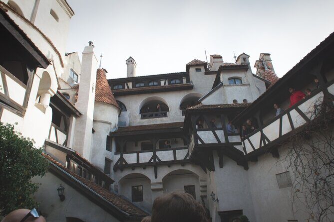 Legends&Wildlife Awaits: Dracula's Castle & Bear Sanctuary - Mobile Ticket and Small Group Size: Less Fuss, Better Flow