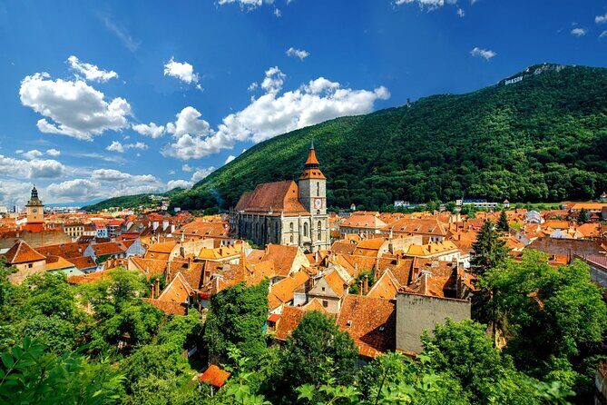 One Day Private Tour to Peles and Dracula Castles & Brasov City - Price and value: is $216.25 per person a smart deal?