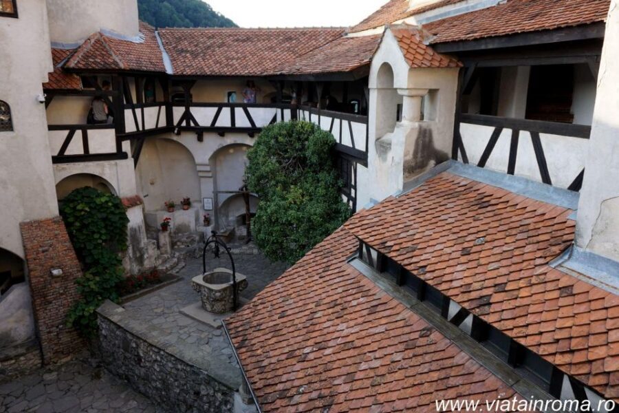 One day trip Bear Sanctuary, Dracula Castle - Price and Logistics: What This Trip Costs in Real Terms