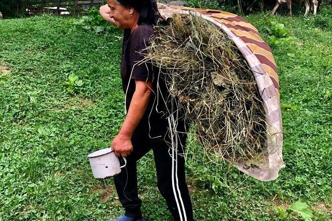 Original Carpathian Village Experience and Sinaia in one day tour - A One-Day Transylvania Mix: Village Life Meets Royal Castles