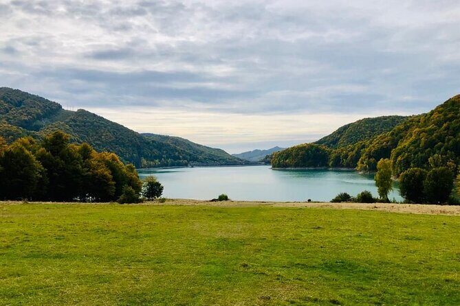 Original Carpathian Village Experience and Sinaia in one day tour - Paltinu Lake and the Dam: A Scenic Break That’s Free to Enter