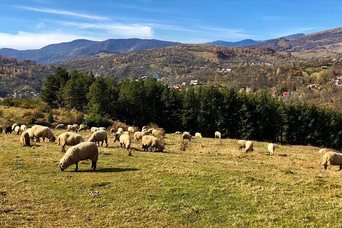 Original Carpathian Village Experience and Sinaia in one day tour - Price and Value: What $178.54 Really Buys You