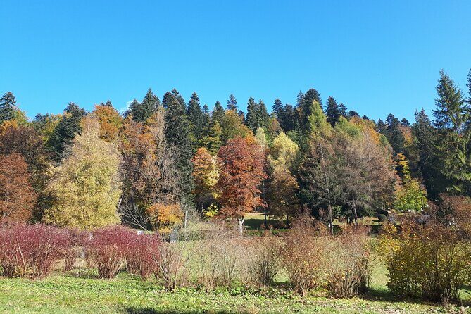 Peles Castle and optional Cantacuzino Castle from Brasov - What you’re really paying for: value vs. extra tickets