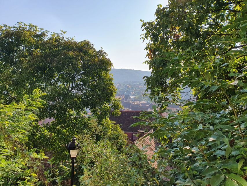 Peleș Castle, Bran Castles and Brasov City - Private Tour - The Private-Guide Advantage: How Nicolas Fits This Trip