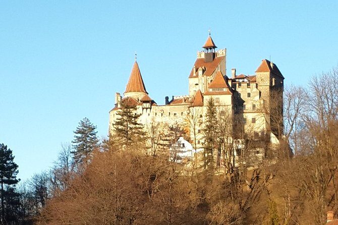 Private 6-Day Dracula Tour in Transylvania from Bucharest - Day 6: Peliș Castle at Sinaia and Snagov Monastery before returning to Bucharest