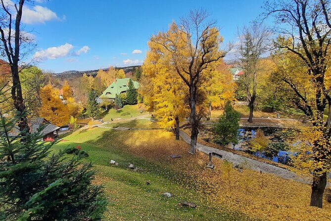Private Day Tour in Transylvania, Peles and Bran Castles from Brasov - How the guides shape the day (and why it shows up in real reviews)