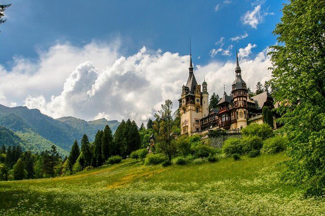 Private Full Day Trip to Peles & Bran (Dracula’s) Castles &Brasov - The guide and driver details that make a long day worth it