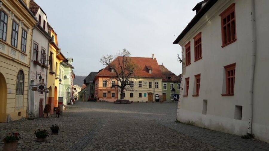 Transylvania: Dracula's Castle and Birthplace Tour - The 7:30 AM van run: your first look at Transylvania’s scale