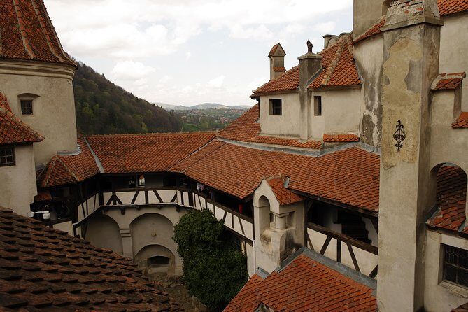 Transylvania with Dracula Castle, Bear Sanctuary and Brasov - Price and Value: Is $155 Worth a Full Transylvania Taste?