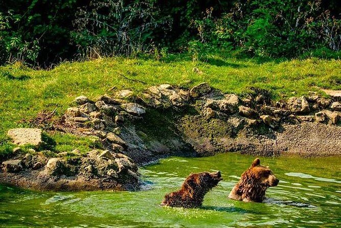 Transylvania with Dracula Castle, Bear Sanctuary and Brasov - Who This Tour Fits Best (and Who Should Be Careful)