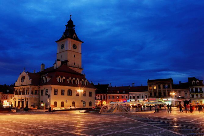Transylvania with Dracula Castle, Bear Sanctuary and Brasov - Liberty Bear Sanctuary Zărnești: Real Rescue Meets Teddy Bear Charm