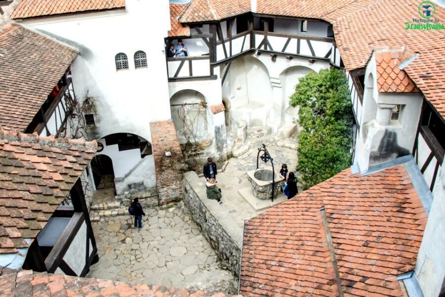 Visit Bear Sanctuary and Bran Castle from Brasov - Pickup in Brașov and the Rhythm of a 5-Hour Day