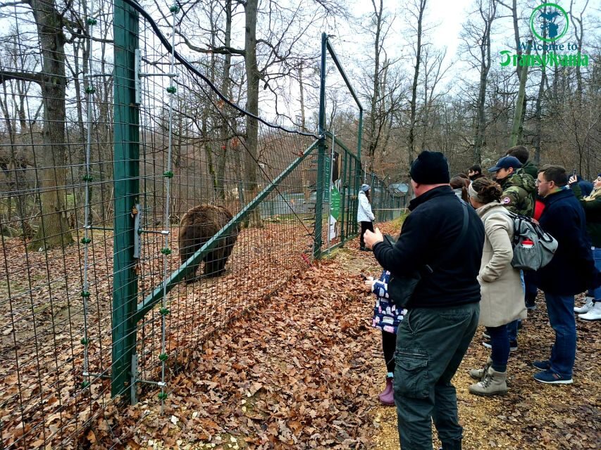 Visit Bear Sanctuary and Bran Castle from Brasov - Comfort and Logistics: Van Transport, WiFi, and Smart Stops