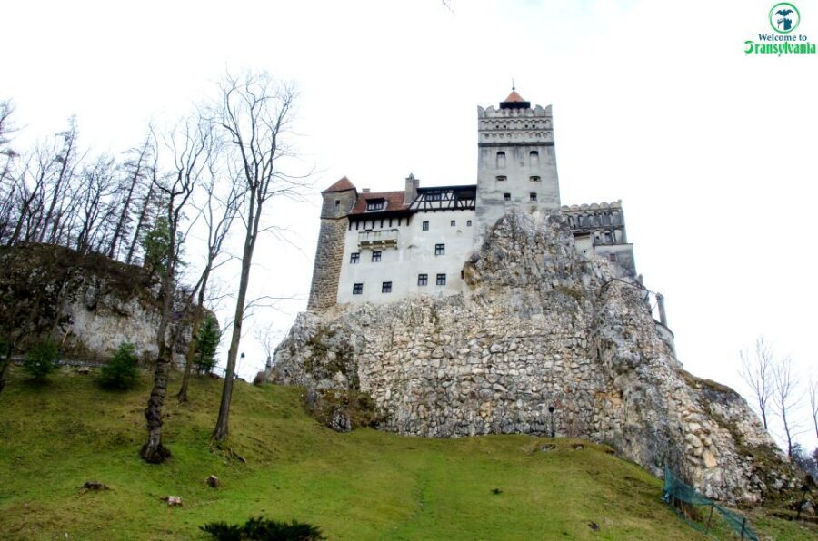 Visit Bear Sanctuary and Bran Castle from Brasov - Price and Value: What $83 Covers (and What You Must Budget)